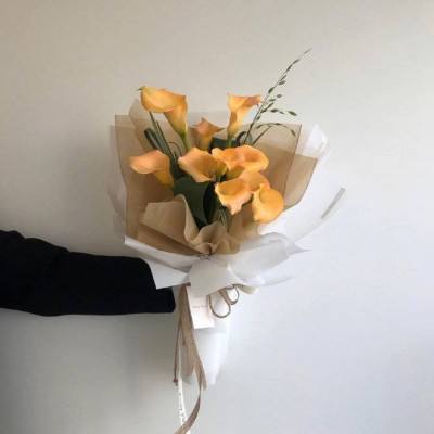 biphase手机版下载